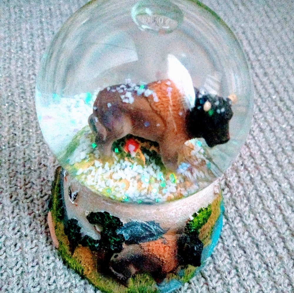 Buffalo Snowglobe